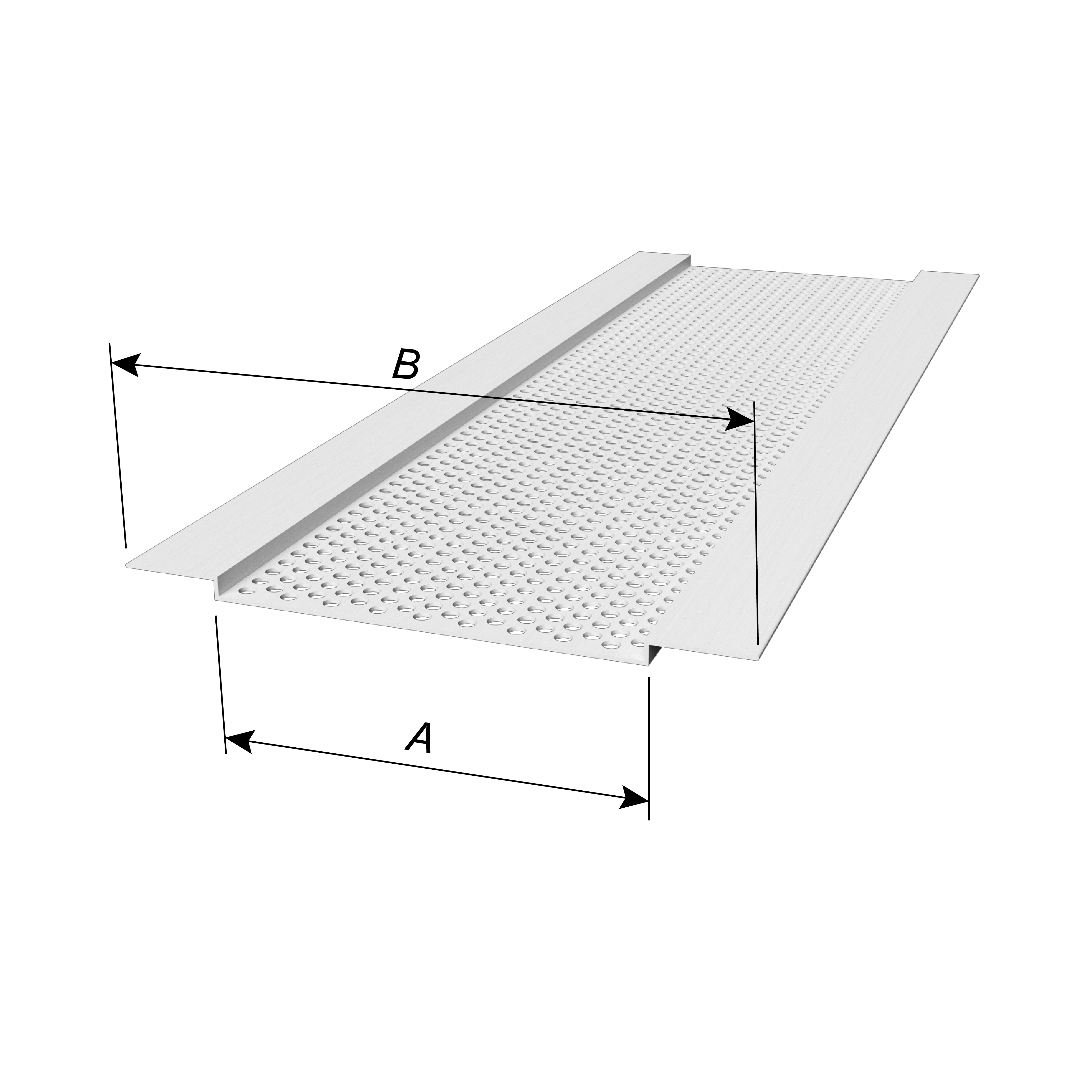 V300 - dims